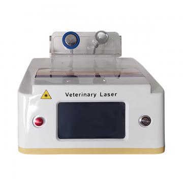 Laser Therapy Equipment VMLTE02