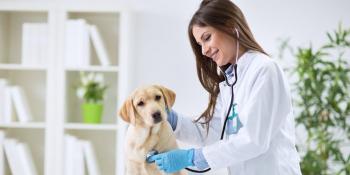 Pet medicine is rising