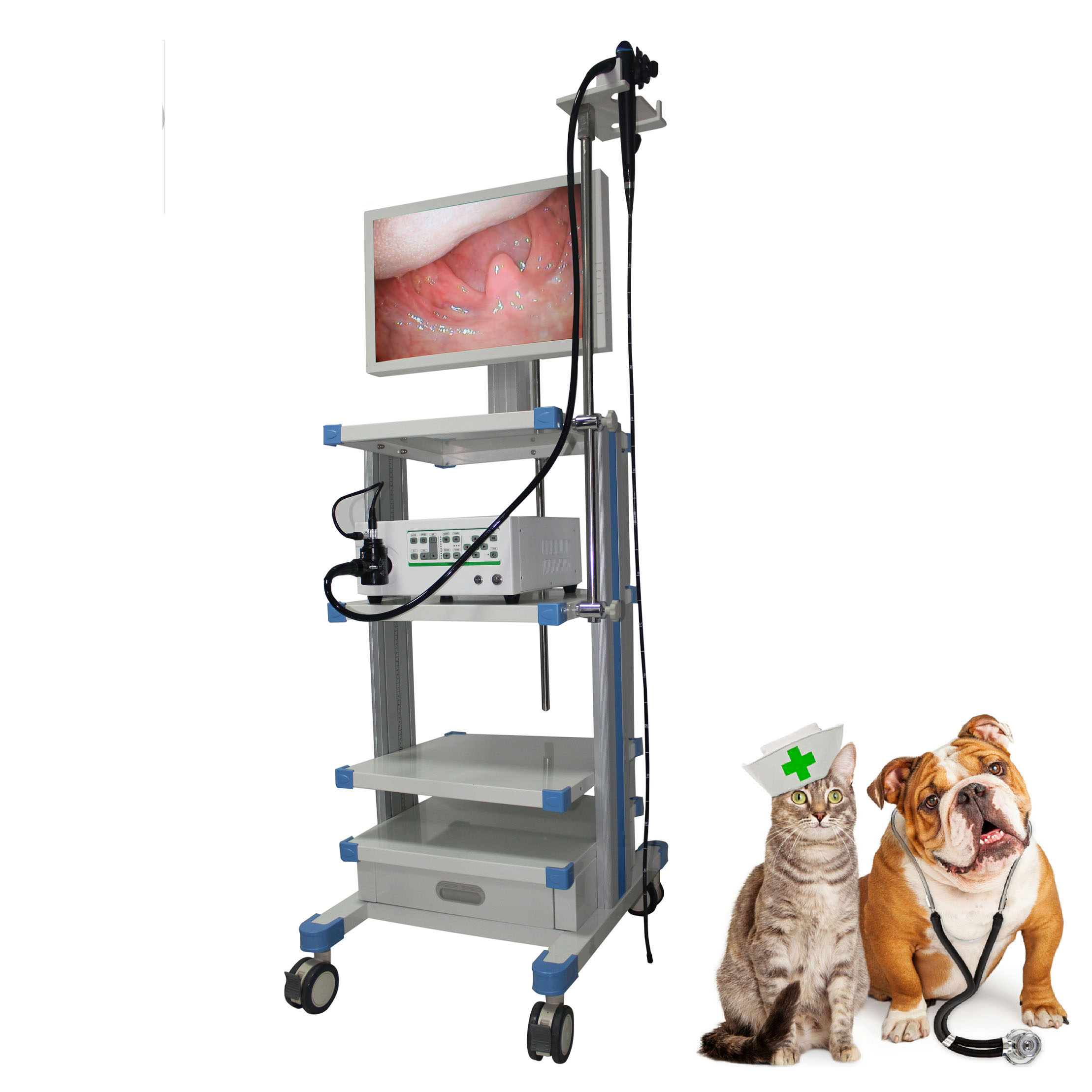 Veterinary Video Endoscope VMVEN02