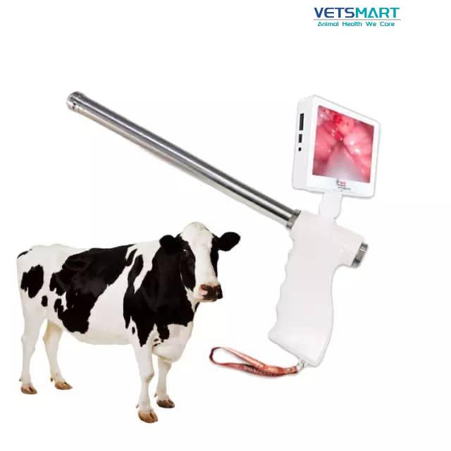 Visual Insemination Gun VMVIG03